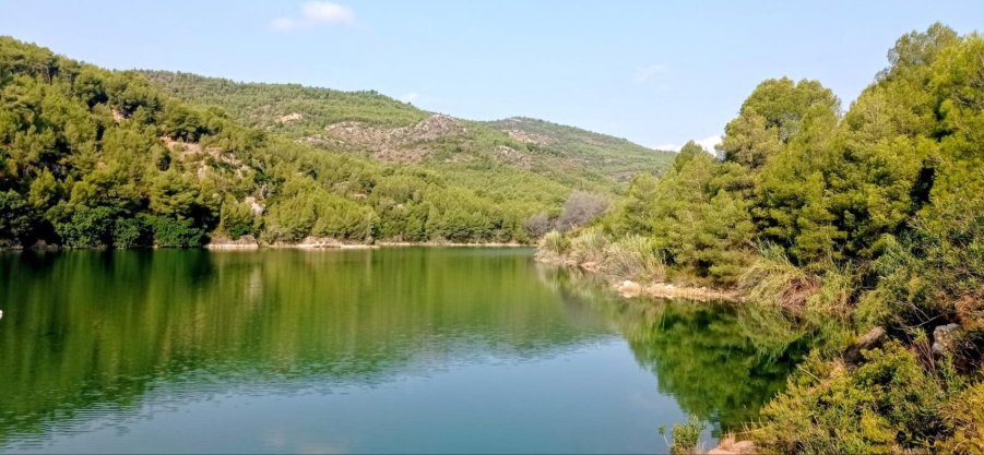 Embalse entre pinares