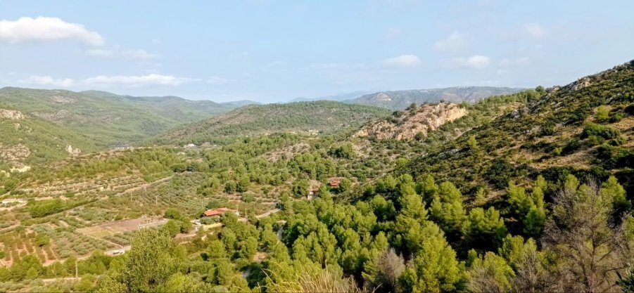 Panorámica del valle
